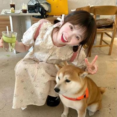 最近有点烦